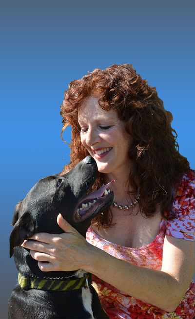 dog training santa barbara, best dog behaviorist santa barbara, help with aggressive dog,