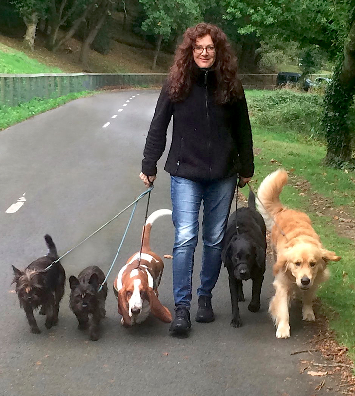 Ronit Corry, Santa Barbara Dog Whisperer, Walking pack of dogs
